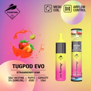 mesh coil strawberry kiwi