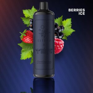 ویپ یکبارمصرف دکترویپ توت میکس نعنا _ Dr.Vapes Berries ice disposable vape